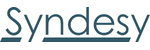Syndesy Technologies, Inc. 